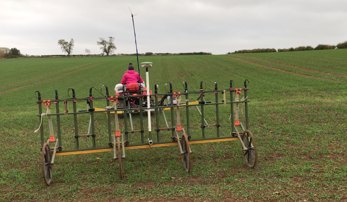 A person wearing a pink jacket and grey hat drives a magnetometry machine over the fields at Trimontium.