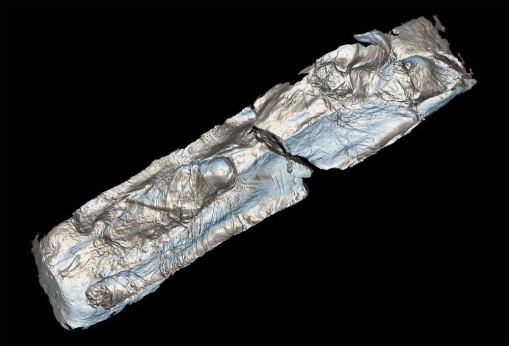 Image of a Gypsum Mummy