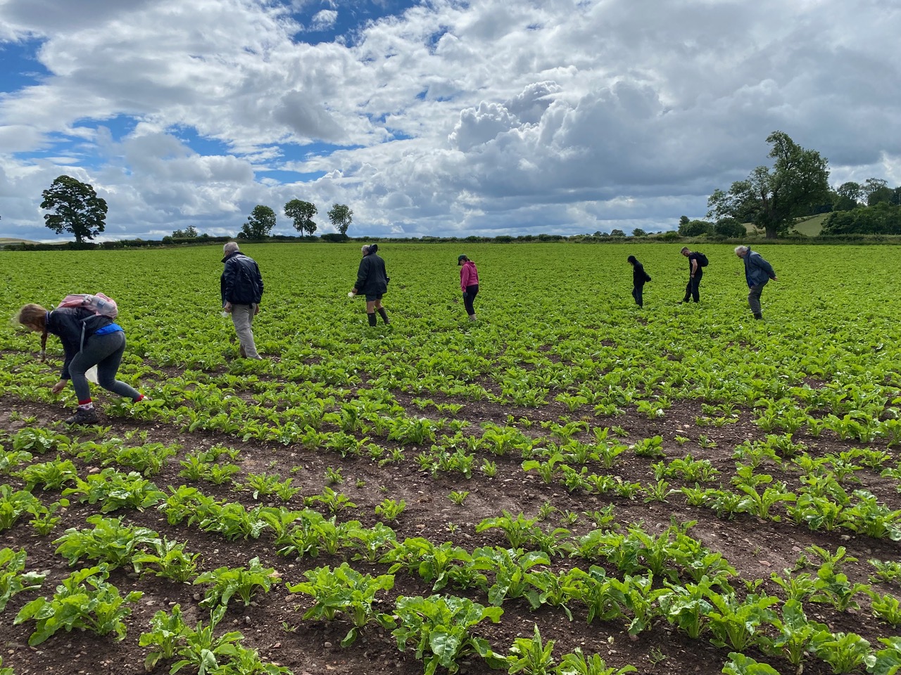 September Talk - Trimontium Trust's Latest Discoveries